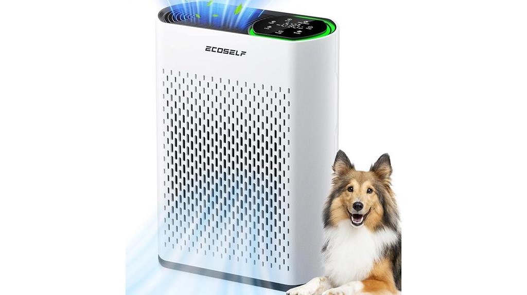 effective home air purifier