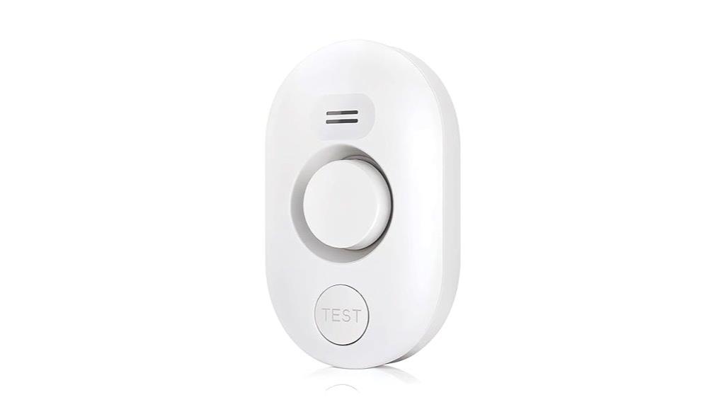 home flood detection alarm