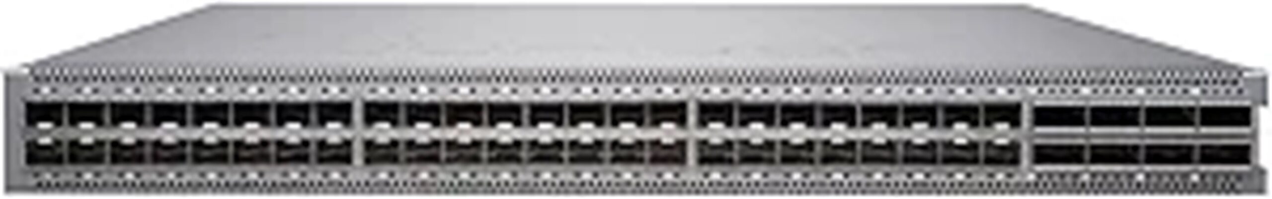 48 port 25g 8 port 100g