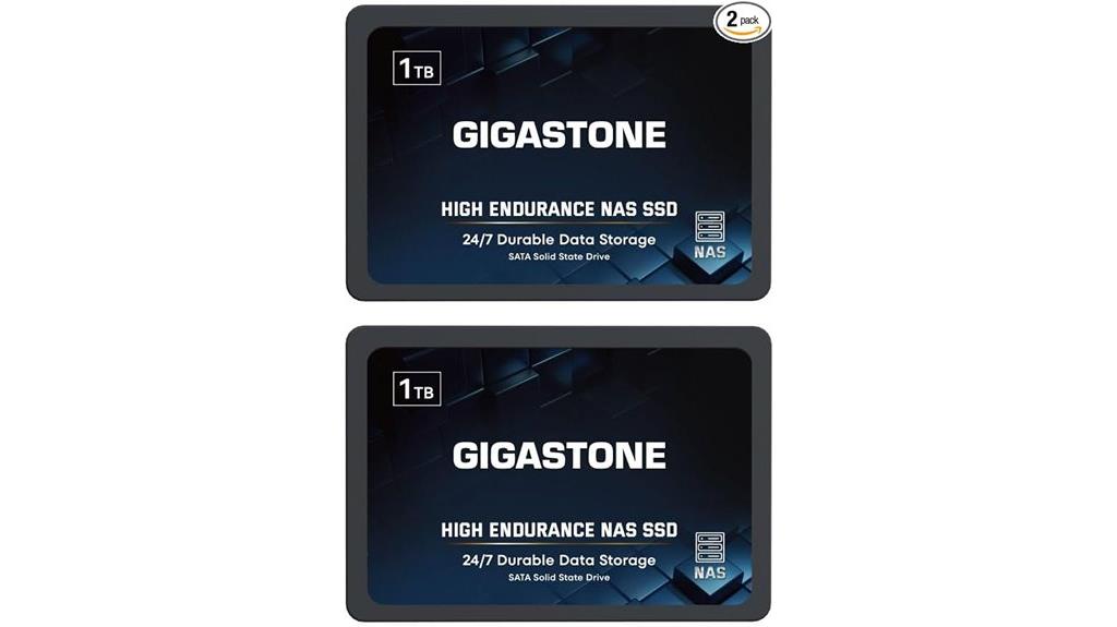 gigastone 1tb nas drives