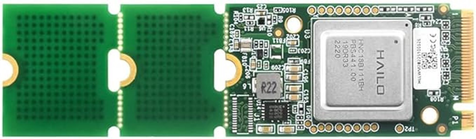 hailo 8 m 2 raspberry pi