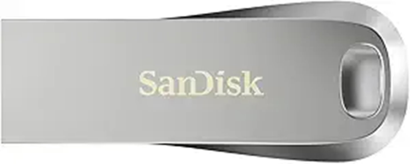 sandisk 256gb usb flash
