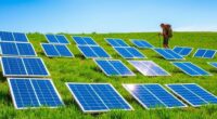 top portable solar panel options