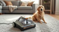 pet friendly portable carpet cleaners