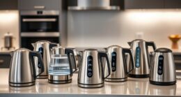 top electric kettles with temperature control