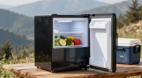 efficient portable cooling solutions
