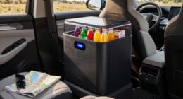 top portable car fridges