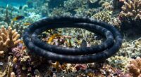undersea cable monitoring importance