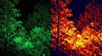 visual contrast detection methods