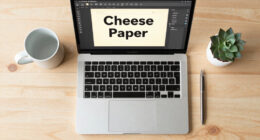 Cheese Paper: a text editor specifically designed for writing